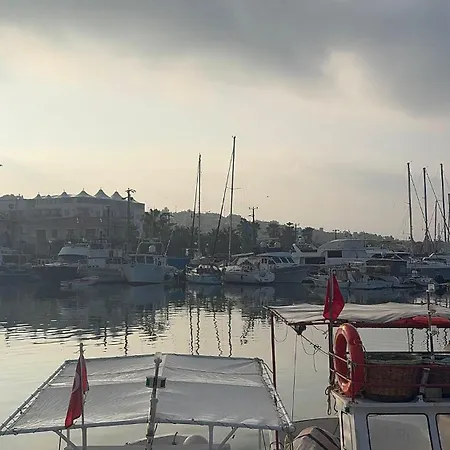 The New House Cesme منزل للإقامة Dalyankoy (Aegean)